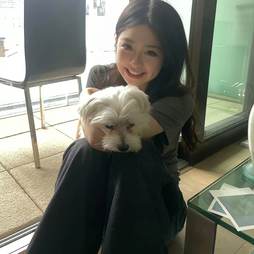 肥猫斗小强电影版