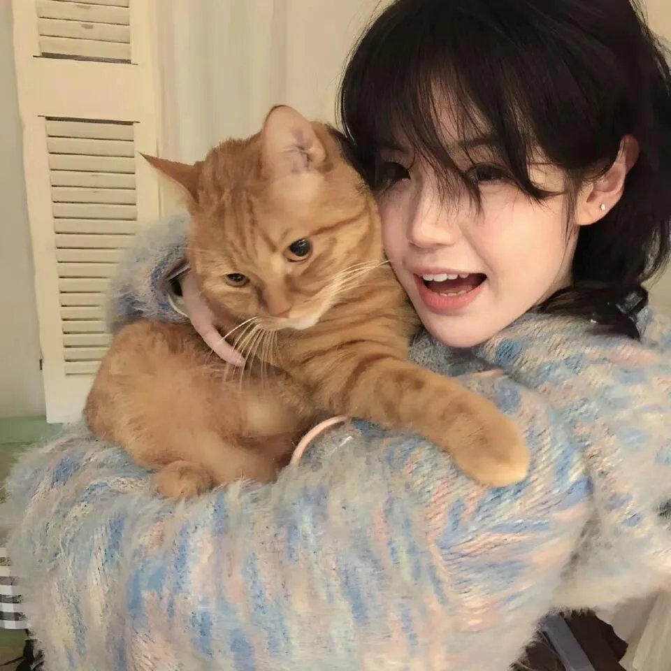 队长小翼